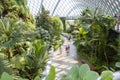 Singapore conservatories: Flower Dome and Cloud Forest.